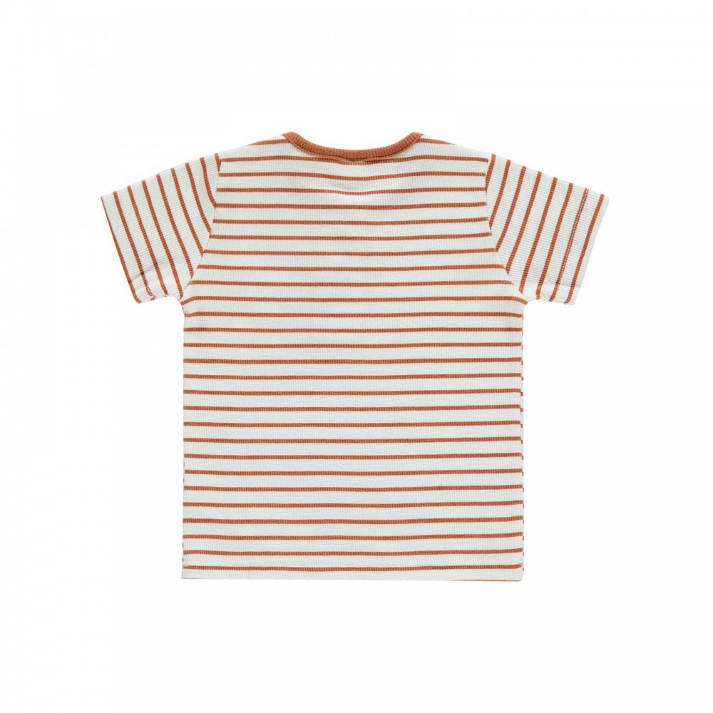 Civil Baby Boy Βρεφικό T-Shirt 6-18 Μηνών Χάλκινο